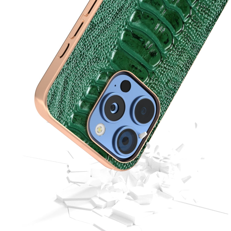 For iPhone 16 Pro Max ABEEL Electroplating Frame Genuine Leather Weilai Series Phone Case(Green) - iPhone 16 Pro Max Cases by buy2fix | Online Shopping UK | buy2fix