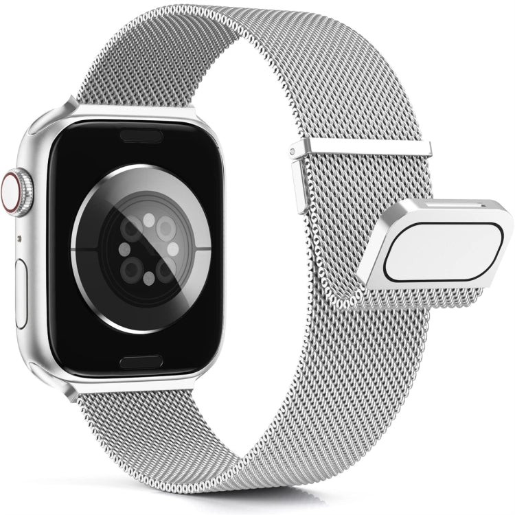 For Apple Watch SE 40mm Milan Double Magnetic Steel Mesh Watch Band(Silver) - Watch Bands by buy2fix | Online Shopping UK | buy2fix