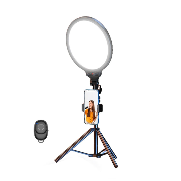 12.6 Inch Full-Screen Selfie Ring Light Tripod Set For Live Stream, Spec: 55cm Bracket - Selfie Light by buy2fix | Online Shopping UK | buy2fix