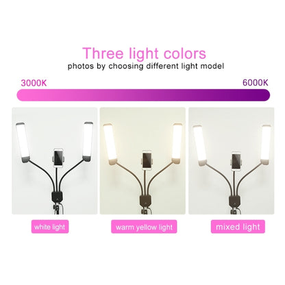 RK39 Portable Tri-color Adjustable Brightness Double Arms Fill Light with Phone Clip(Black) - Consumer Electronics by buy2fix | Online Shopping UK | buy2fix