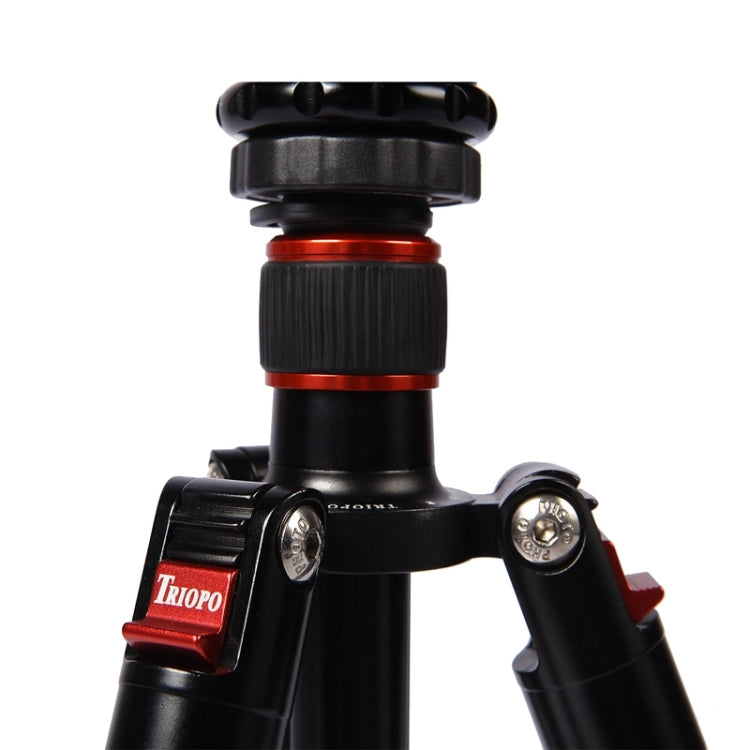 Triopo MT-2804C Adjustable Portable Aluminum Tripod with NB-2S Ball Head for Canon Nikon Sony DSLR Camera(Black) - Camera Accessories by TRIOPO | Online Shopping UK | buy2fix