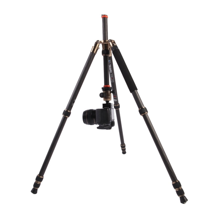 Triopo GT-2504X8.C Adjustable Portable Carbon Fiber Tripod with B-1 Aluminum Ball Head for Canon Nikon Sony DSLR Camera - Tripods by TRIOPO | Online Shopping UK | buy2fix