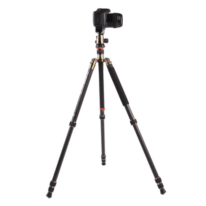 Triopo GT-2504X8.C Adjustable Portable Carbon Fiber Tripod with B-1 Aluminum Ball Head for Canon Nikon Sony DSLR Camera - Camera Accessories by TRIOPO | Online Shopping UK | buy2fix