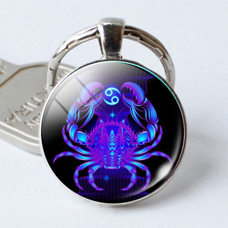 Zodiac Sign Keychain 12 Constellation Pendant Single Face Keyring - Key Rings by buy2fix | Online Shopping UK | buy2fix