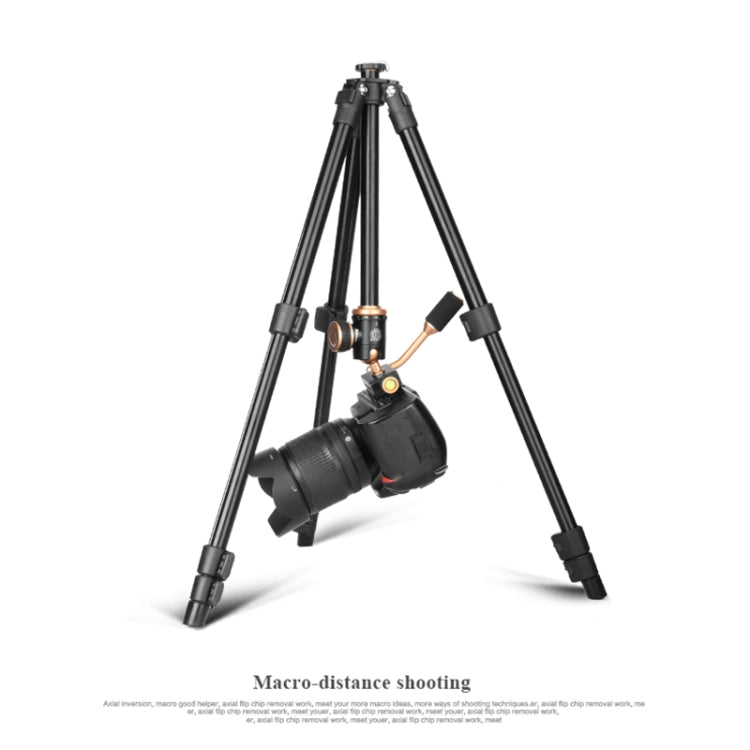 Q160s 4-Section Folding Legs Live Broadcast Aluminum Alloy Tripod Mount with Damping Tripod Ball-Head - Camera Accessories by buy2fix | Online Shopping UK | buy2fix