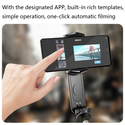 Removable Fill Light Phone Handheld Stabilizer with APP(Q09 Black) - Consumer Electronics by buy2fix | Online Shopping UK | buy2fix