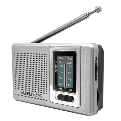 INDIN BC-R2011 AM FM Radio Pocket Mini Wide Reception Telescopic Antenna Radio(Silver Gray) - Radio Player by INDIN | Online Shopping UK | buy2fix